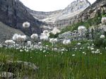 Cdn Rockies Adventure (Aug 2010) - Banff - 035
